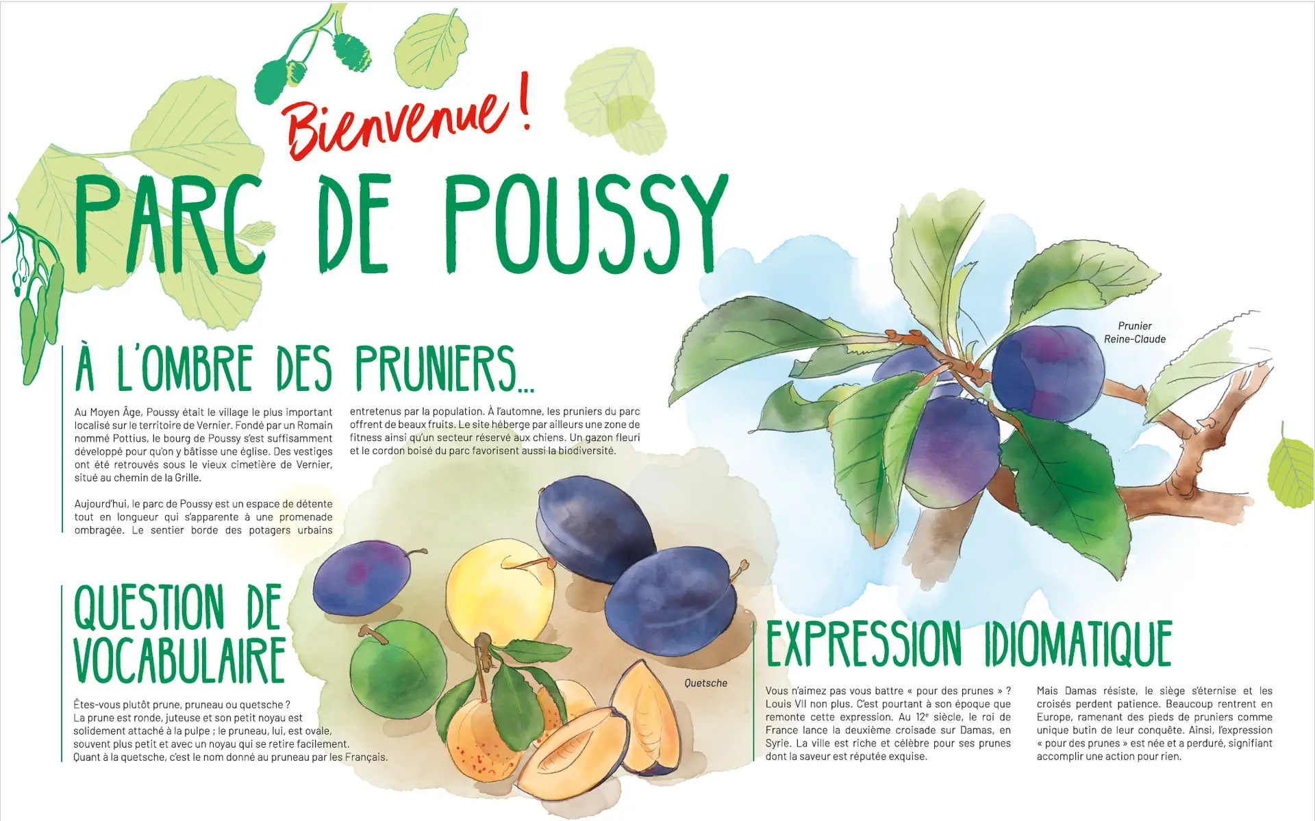 Parc de Poussy