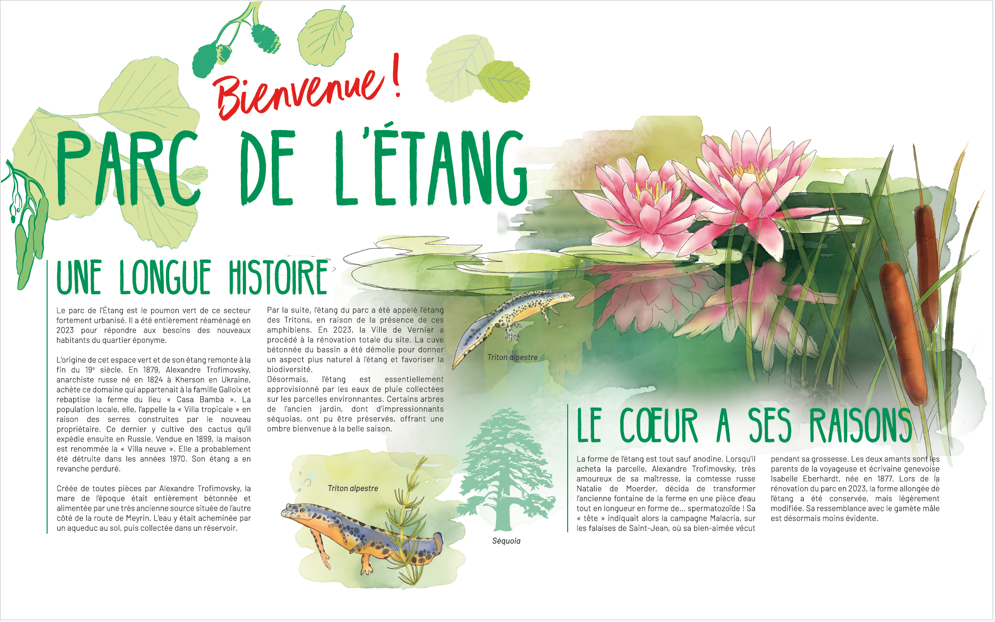 Parc de l'étang
