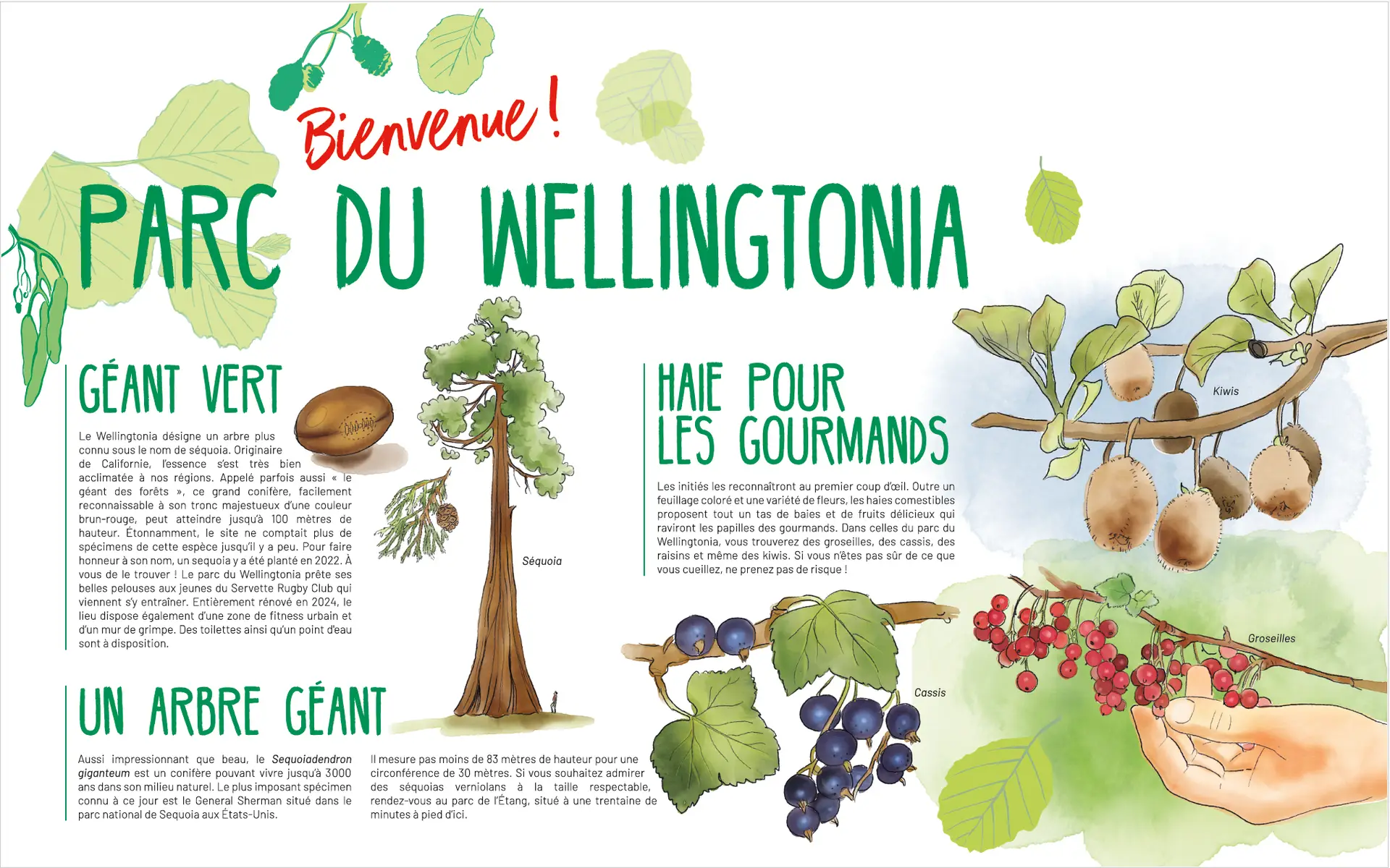 Parc du Wellingtonia