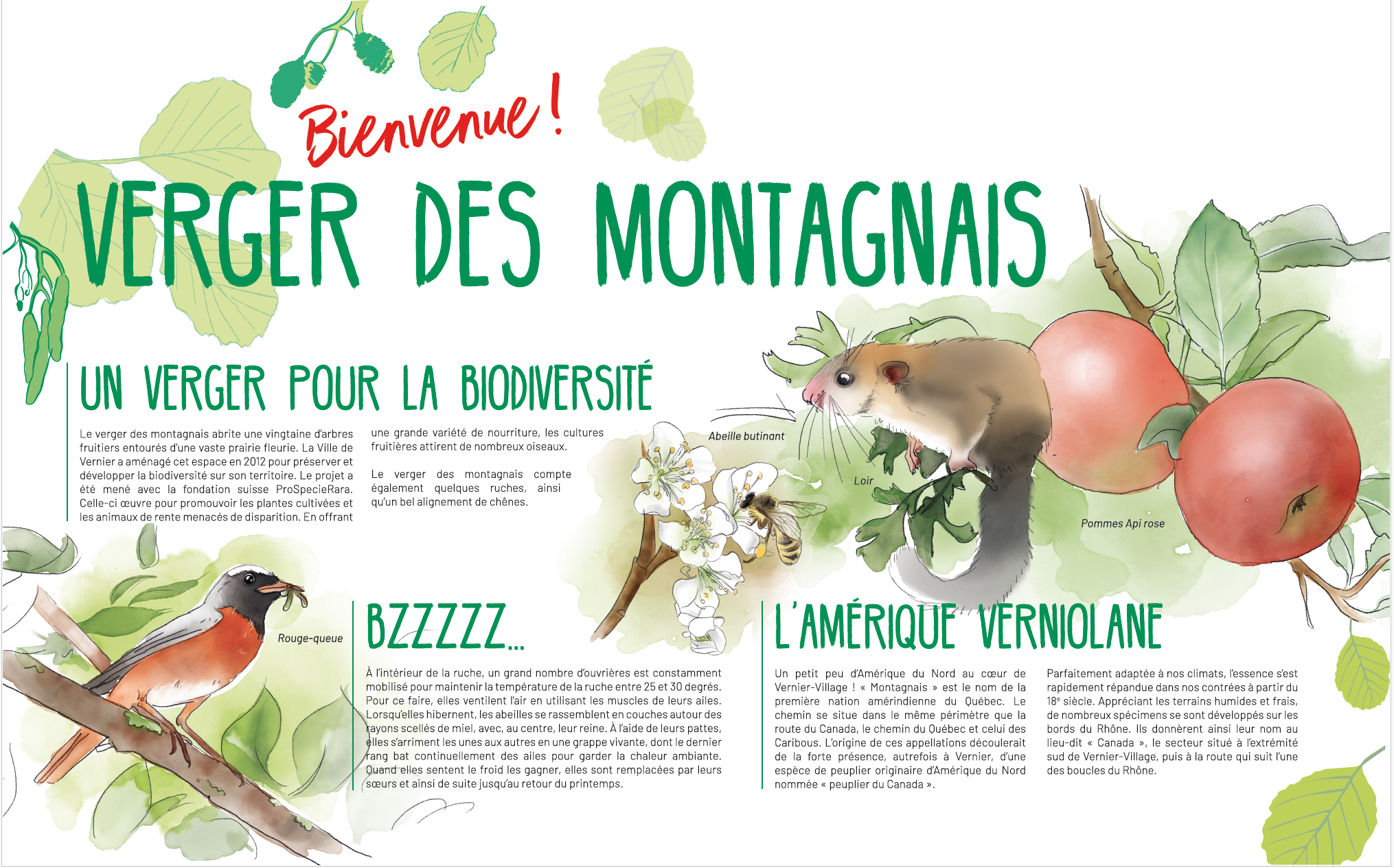 Verger Des Montagnais