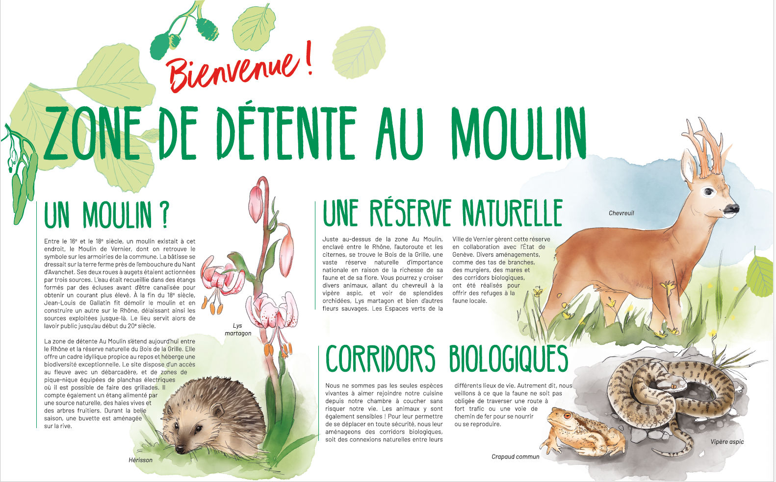 Zone De Detente Au Moulin