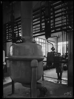 Usine Givaudan